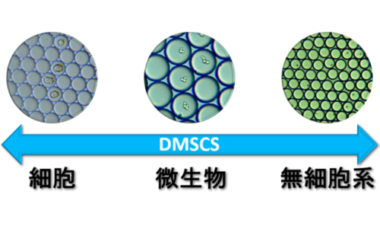 DMSCS シングルセル 単離 ドロップレットジェネレーター 細胞 微生物 無細胞系