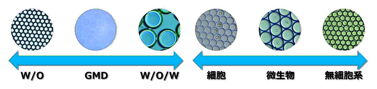 DMSCS シングルセル ドロップレットジェネレーター w/o GMD w/o/w 細胞 微生物 無細胞系