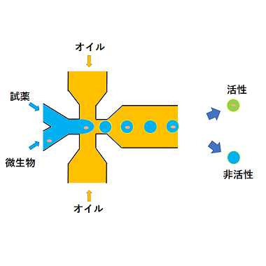 微生物ドロップレット培養スクリーニング