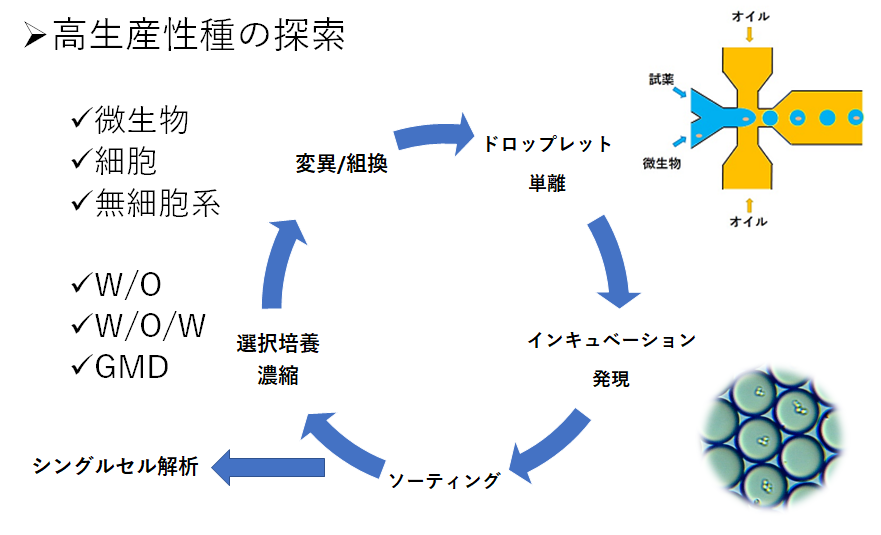 ドロップレット ハイスループットスクリーニング サイクル