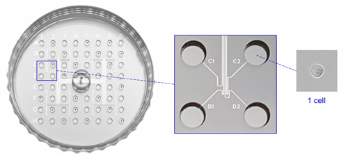 1CellDish-60mm シングルセル分注・クローニング