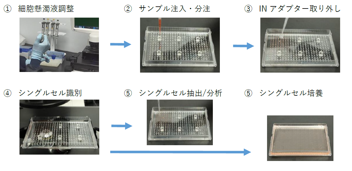 シングルセル 単離 分注 培養 プレート
