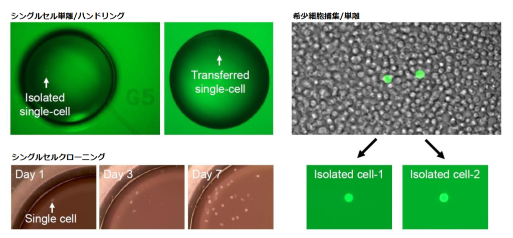 シングルセル単離　シングルセルクローニング　希少細胞捕集