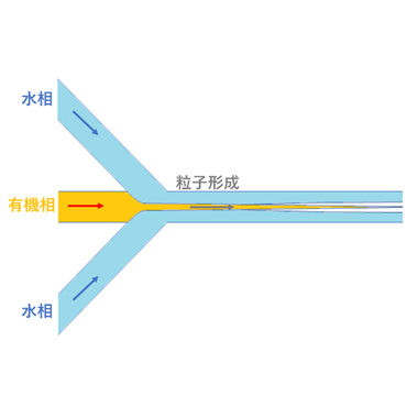 リポソームナノ粒子HFF作製チップ LNP