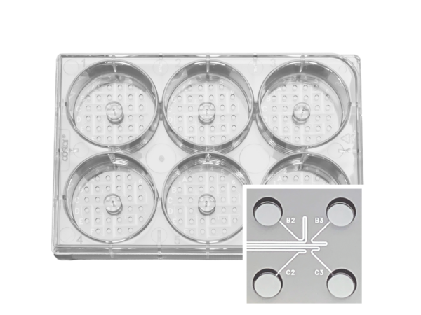 シングルセル分注・培養プレート 1CellPlate-mini Smart Aliquotor mini single cell