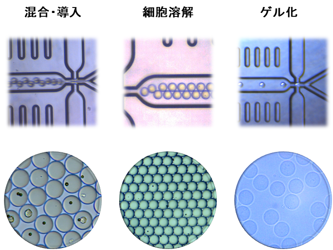 ドロップレット 細胞溶解 2液混合 ゲル化 ドロップレットジェネレーター DMSCS ＮＴサイエンス