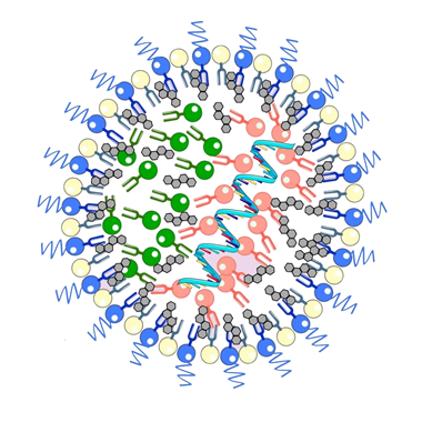 脂質ナノ粒子 LNP lipid nanoparticle