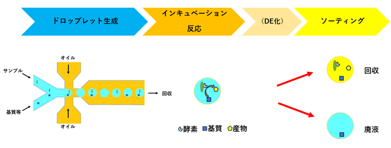enzymatic droplet screening 酵素スクリーニング ドロップレット スクリーニング