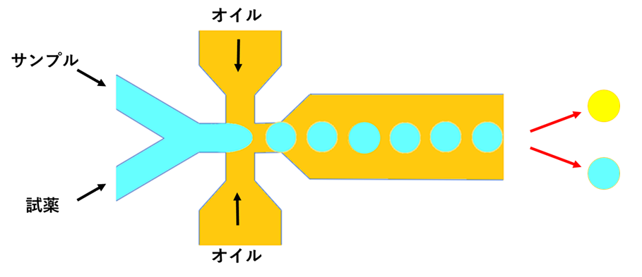 ハイスループットスクリーニング ドロップレット droplet screening